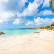 Sargassum-Free Beach In Akumal Bay, Mexico
